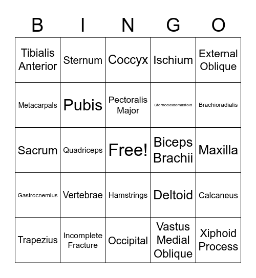 Sports Medicine Bingo Card