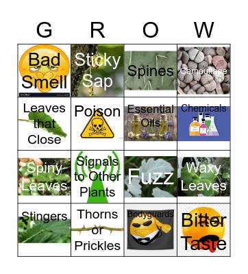 BATTLE OF THE BACKYARD Bingo Card