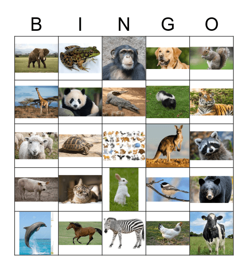 Bingo Animaux Bingo Card