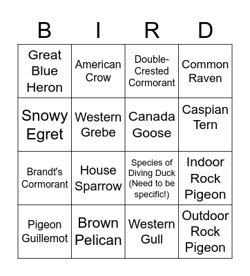 Sofar Birding Bingo Card