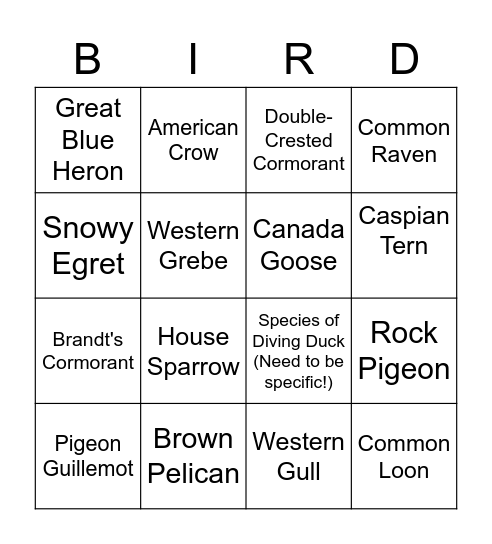 Sofar Birding Bingo Card