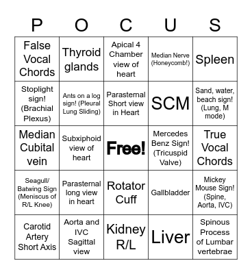 RVUCOM Ultrasound Club POCUS Bingo! Bingo Card