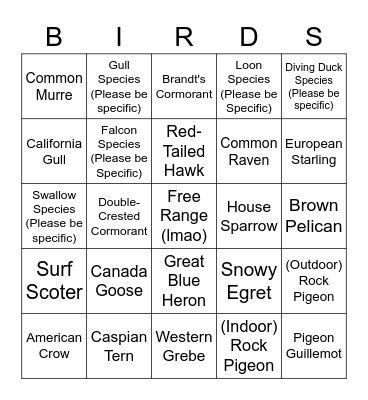 Sofar Birding Bingo Card