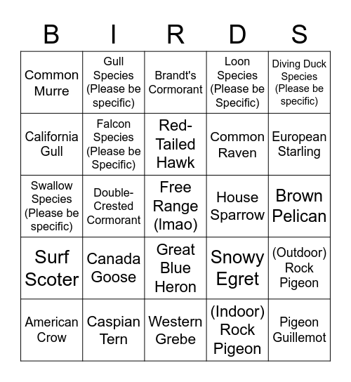 Sofar Birding Bingo Card