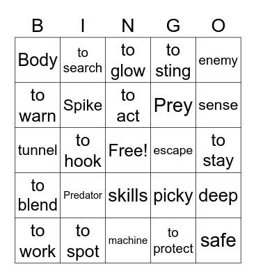 Vocabulary Bingo Card