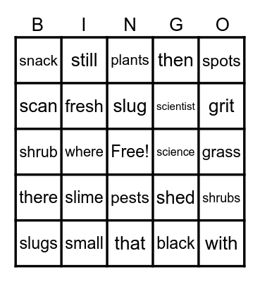 Slug Study Bingo Card