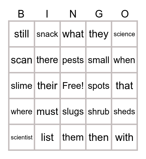 Slug Study Bingo Card