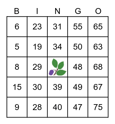 Beach Plum Bingo Card