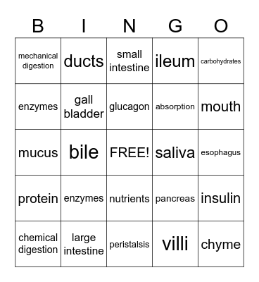 Digestive System Bingo Card