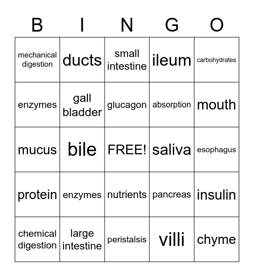 Digestive System Bingo Card