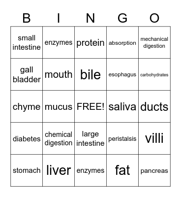 Digestive System Bingo Card