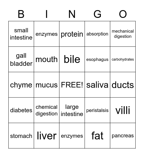 Digestive System Bingo Card