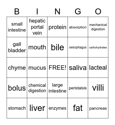 Digestive System Bingo Card
