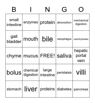 Digestive System Bingo Card