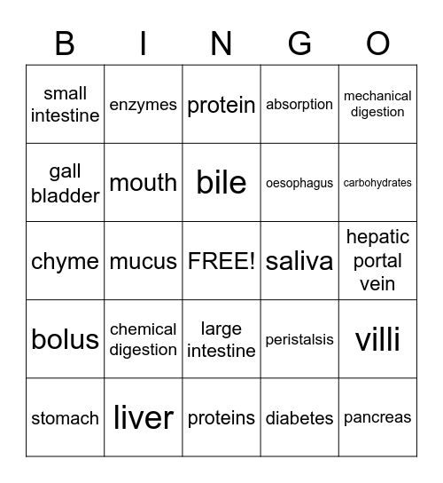 Digestive System Bingo Card