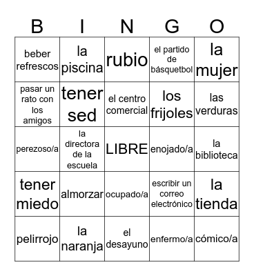 Avancemos 2 - Lección Preliminar (Un repaso) Bingo Card