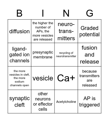 Synapse Bingo Card