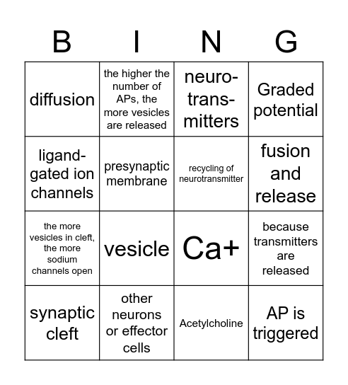 Synapse Bingo Card