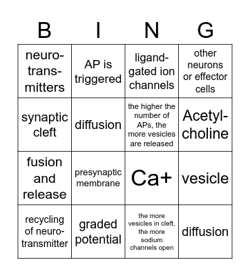 Synapse II Bingo Card
