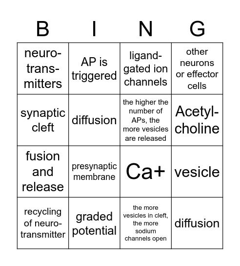 Synapse II Bingo Card