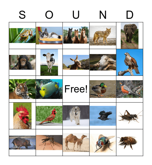 Animal Sound BINGO Card