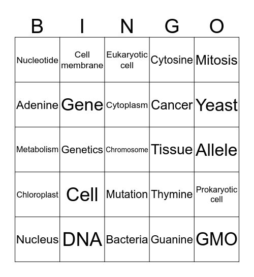 Cell biology Bingo Card
