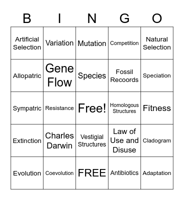 Evolution Bingo Card
