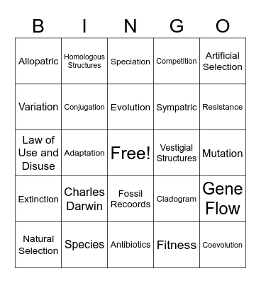 Evolution Bingo Card