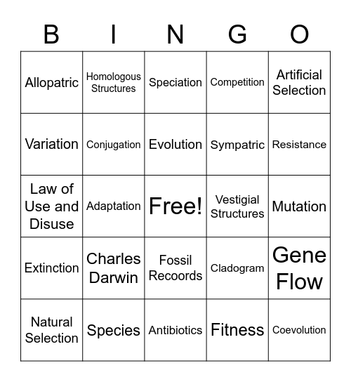 Evolution Bingo Card