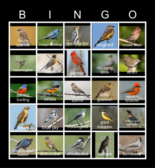 FRIO HOUSE BIRD Bingo Card