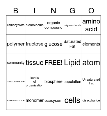 Levels of Organization & Biomolecule Vocab Bingo Card