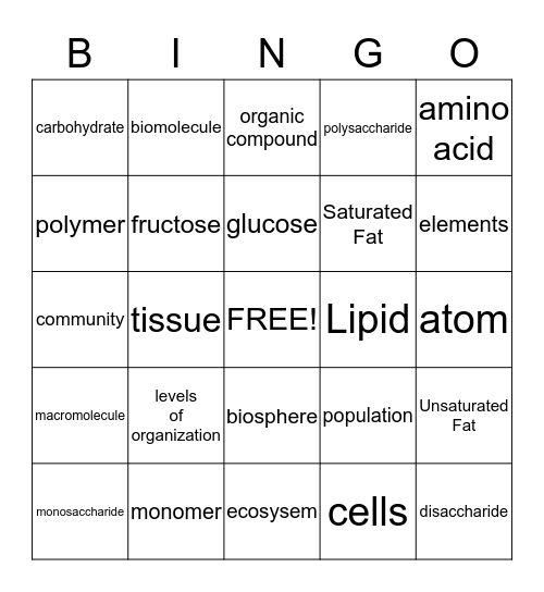 Levels of Organization & Biomolecule Vocab Bingo Card