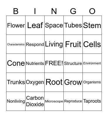 Grade 3 Science Bingo Card
