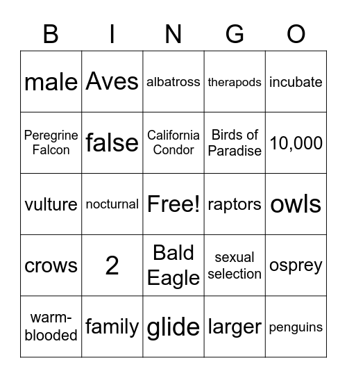 Birds Quarter Review Mitchell Bingo Card