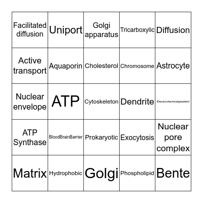 Cell Biology, Neurons and Neuroglia Bingo Card
