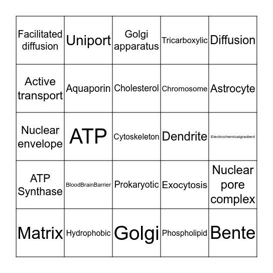Cell Biology, Neurons and Neuroglia Bingo Card