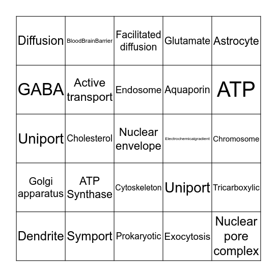 Cell Biology, Neurons and Neuroglia Bingo Card