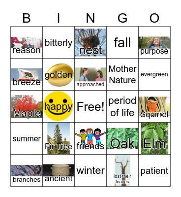G2 U6 W1 Why Fir Tree Keeps His Leaves Bingo Card