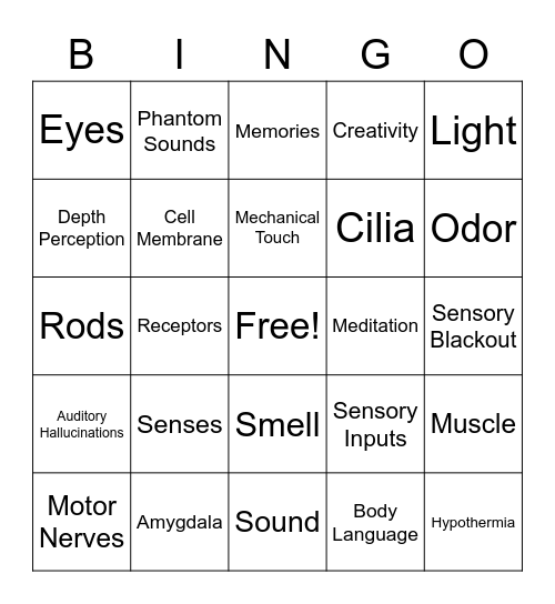 Medical Terminology - Human: The World Within_Sense (Special Senses) Bingo Card