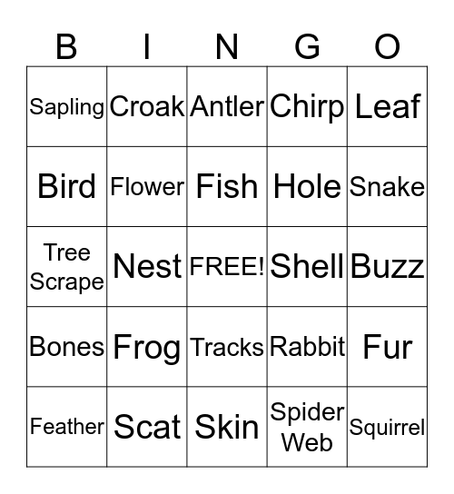 Plant and Animal Signs Bingo Card