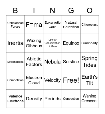STAAR Review Bingo Card