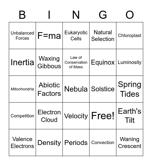 STAAR Review Bingo Card