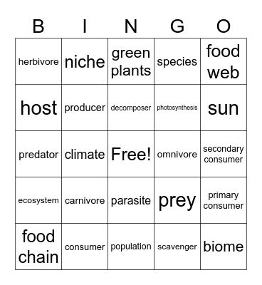 FOOD CHAINS & FOOD WEBS Bingo Card