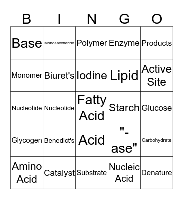 Unit 2 Vocabulary Bingo Card