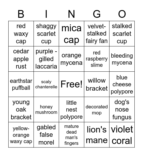 Mushroom Bingo 2 Bingo Card