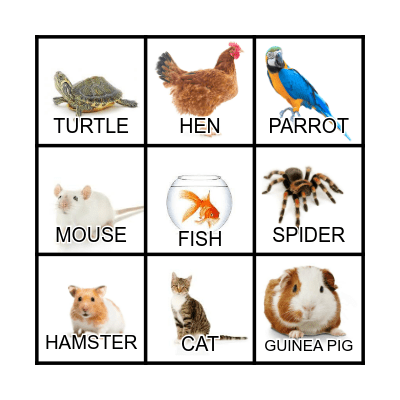 PETS Bingo Card