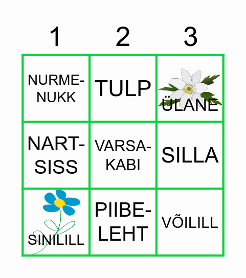 Kevadlilled Bingo Card