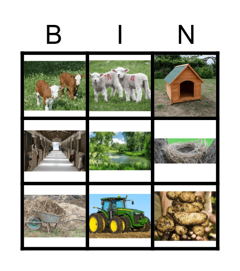 The Farm Bingo Card