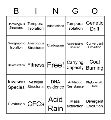 Evolution Vocab BINGO Card