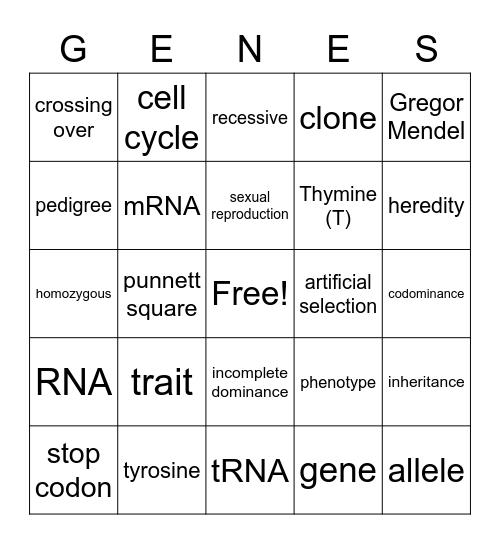 Chapter 3 Review Bingo (Heredity/ Genetics) Bingo Card
